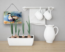 Load image into Gallery viewer, Common Eider Duck Wall or Door Hanging Prints