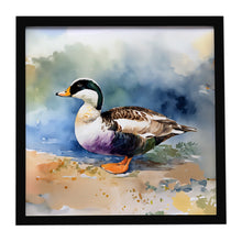 Load image into Gallery viewer, Common Eider Duck Framed Metal Print
