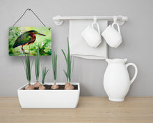 Load image into Gallery viewer, Green Heron Wall or Door Hanging Prints
