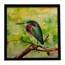Load image into Gallery viewer, Green Heron Framed Metal Print