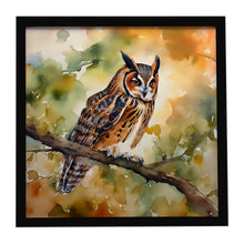 Load image into Gallery viewer, Long-Eared Owl Framed Metal Print