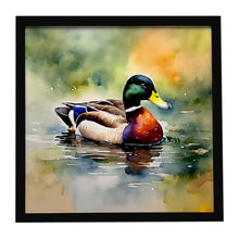 Load image into Gallery viewer, Mallard Framed Metal Print