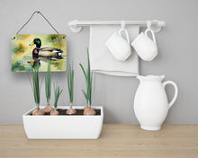 Load image into Gallery viewer, Mallard Wall or Door Hanging Prints