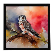 Load image into Gallery viewer, Northern Hawk Owl Framed Metal Print