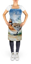 Load image into Gallery viewer, Northern Pintail Apron – Artist-Designed Kitchen, BBQ &amp; Craft Apron