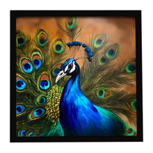 Load image into Gallery viewer, Peacock Framed Metal Print