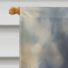 Load image into Gallery viewer, Swan House Flag