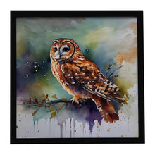 Load image into Gallery viewer, Tawny Owl Framed Metal Print