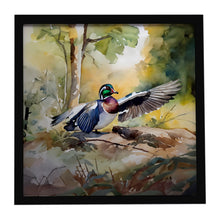Load image into Gallery viewer, Wood Duck Framed Metal Print