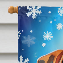 Load image into Gallery viewer, Boxer Christmas House Flag