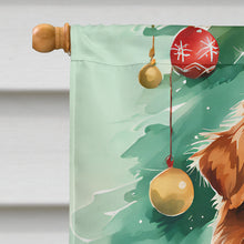 Load image into Gallery viewer, Nova Scotia Duck Toller Christmas House Flag