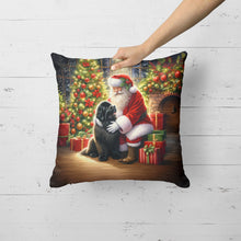 Load image into Gallery viewer, Newfoundland and Santa Claus Throw Pillow