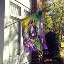 Load image into Gallery viewer, Curly-Coated Retriever King of Mardi Gras House Flag