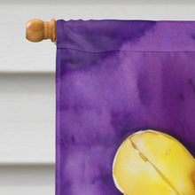 Load image into Gallery viewer, Fleur de lis Mardi Gras House Flag
