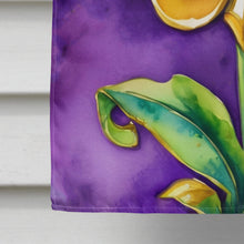 Load image into Gallery viewer, Fleur de lis Mardi Gras House Flag