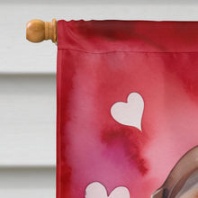 Load image into Gallery viewer, American English Coonhound My Valentine House Flag