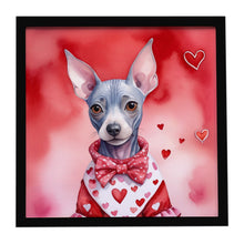 Load image into Gallery viewer, American Hairless Terrier My Valentine Framed Metal Print