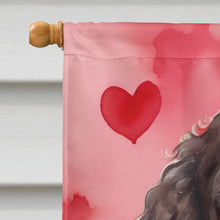 Load image into Gallery viewer, American Water Spaniel My Valentine House Flag