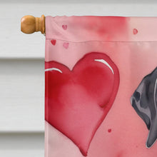 Load image into Gallery viewer, Great Dane My Valentine House Flag