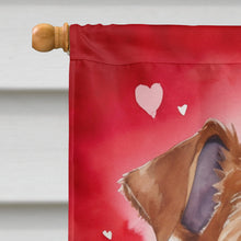 Load image into Gallery viewer, Irish Terrier My Valentine House Flag