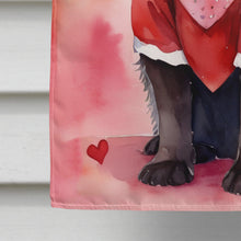 Load image into Gallery viewer, Newfoundland My Valentine House Flag