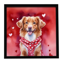 Load image into Gallery viewer, Nova Scotia Duck Tolling Retriever My Valentine Framed Metal Print