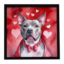 Load image into Gallery viewer, Pit Bull Terrier My Valentine Framed Metal Print