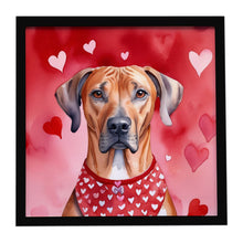 Load image into Gallery viewer, Rhodesian Ridgeback My Valentine Framed Metal Print