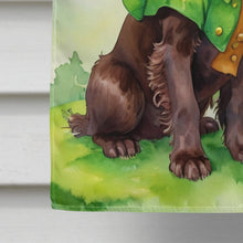 Load image into Gallery viewer, Boykin Spaniel St Patrick's Day House Flag
