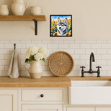 Load image into Gallery viewer, Alaskan Klee Kai in Sunflowers Framed Metal Print