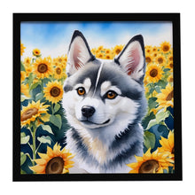 Load image into Gallery viewer, Alaskan Klee Kai in Sunflowers Framed Metal Print