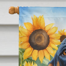 Load image into Gallery viewer, American English Coonhound in Sunflowers House Flag