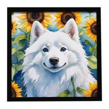 Load image into Gallery viewer, American Eskimo in Sunflowers Framed Metal Print