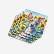 Load image into Gallery viewer, American Hairless Terrier in Sunflowers Coasters - Set of 4 Lightweight Foam, Absorbent Drink Coasters