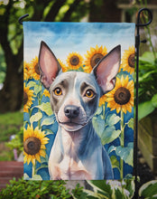 Load image into Gallery viewer, American Hairless Terrier in Sunflowers Garden Flag – Bright Dog-Themed Yard Decor