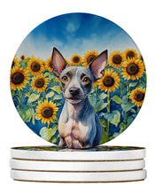 Load image into Gallery viewer, American Hairless Terrier in Sunflowers Large Sandstone Coasters Pack of 4