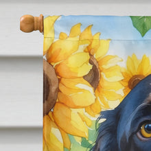 Load image into Gallery viewer, American Water Spaniel in Sunflowers House Flag