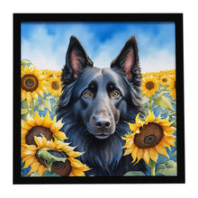 Load image into Gallery viewer, Belgian Sheepdog in Sunflowers Framed Metal Print