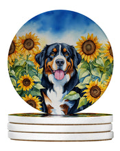 Load image into Gallery viewer, Bernese Mountain Dog in Sunflowers Large Sandstone Coasters Pack of 4