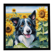 Load image into Gallery viewer, Border Collie in Sunflowers Framed Metal Print
