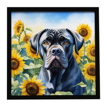 Load image into Gallery viewer, Cane Corso in Sunflowers Framed Metal Print