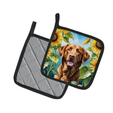 Load image into Gallery viewer, Chesapeake Bay Retriever in Sunflowers Pot Holders - Set of 2 Decorative Kitchen Helpers | Made in the USA