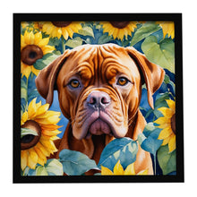 Load image into Gallery viewer, Dogue de Bordeaux in Sunflowers Framed Metal Print