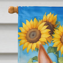 Load image into Gallery viewer, English Bull Terrier in Sunflowers House Flag