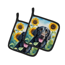 Load image into Gallery viewer, Flat-Coated Retriever in Sunflowers Pot Holders - Set of 2 Decorative Kitchen Helpers | Made in the USA