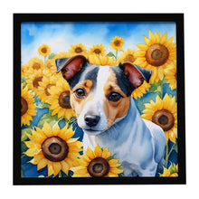 Load image into Gallery viewer, Jack Russell Terrier in Sunflowers Framed Metal Print