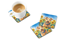 Load image into Gallery viewer, Lakeland Terrier in Sunflowers Coasters - Set of 4 Lightweight Foam, Absorbent Drink Coasters