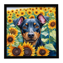 Load image into Gallery viewer, Manchester Terrier in Sunflowers Framed Metal Print