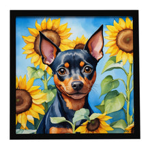 Load image into Gallery viewer, Miniature Pinscher in Sunflowers Framed Metal Print