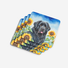 Load image into Gallery viewer, Newfoundland in Sunflowers Coasters - Set of 4 Lightweight Foam, Absorbent Drink Coasters